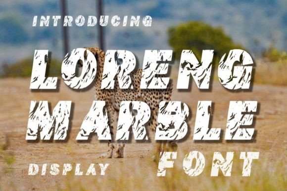 Loreng Marble: A Marble-Textured Display Font for Web Design