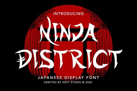 Ninja District: A Display Font with Digital Edge